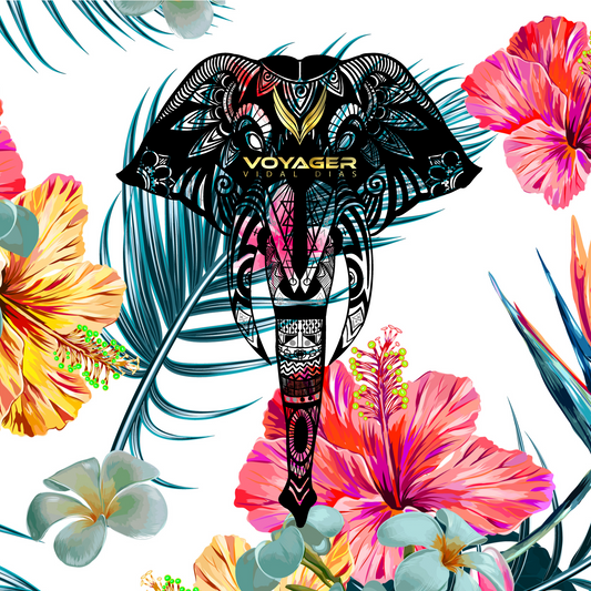 The Electric Jungle Elephant Symbolism