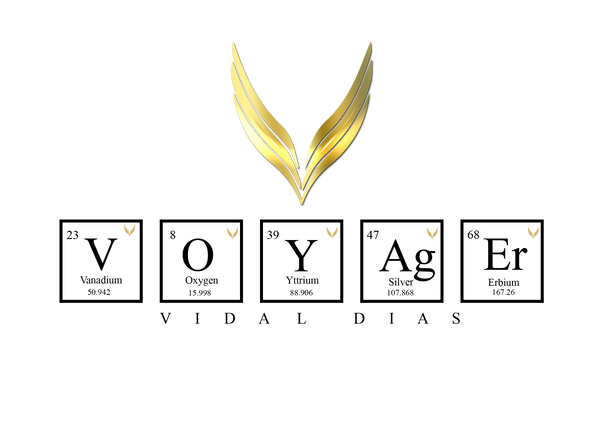 VOYAGER logo