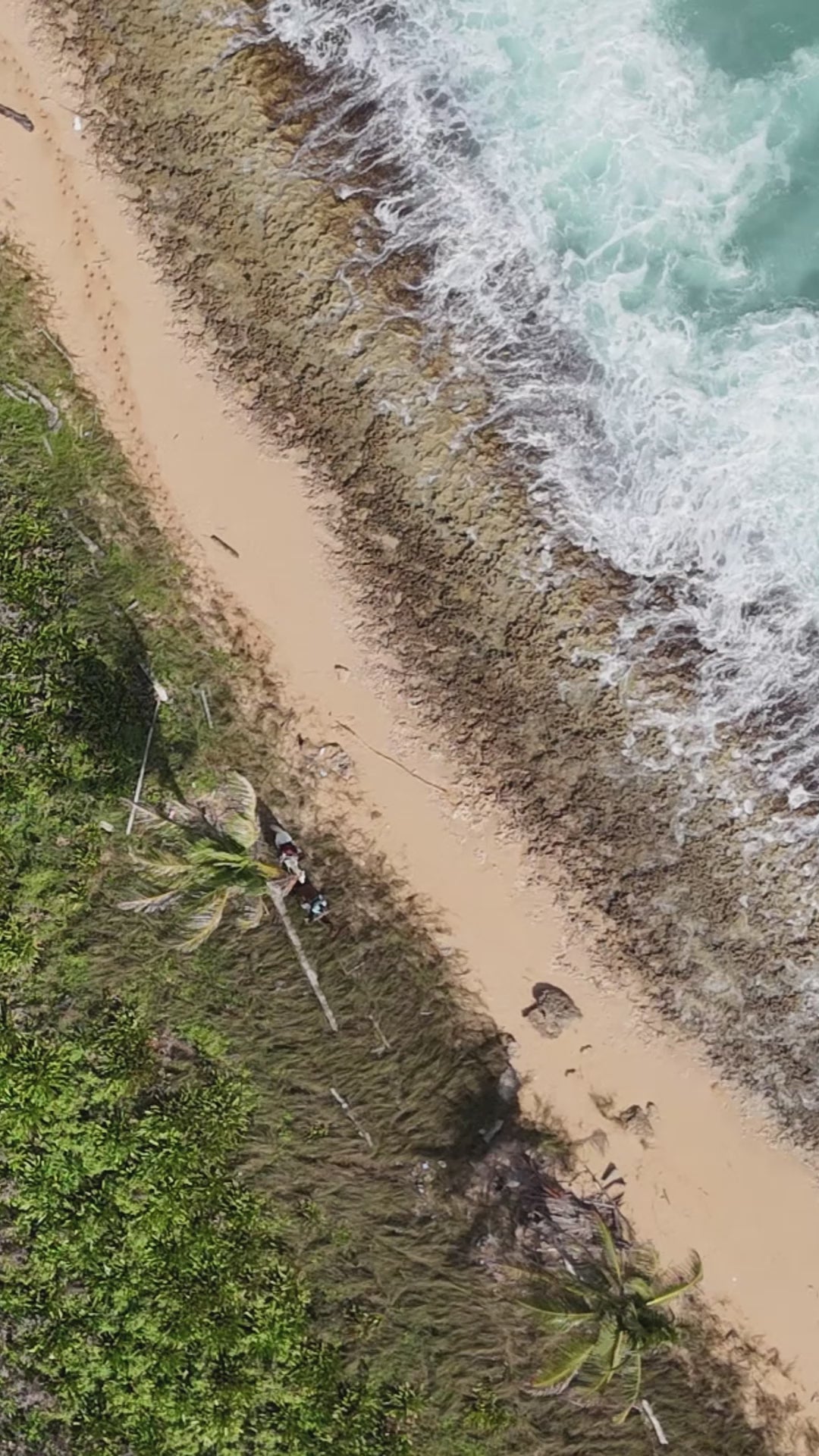 Vidal Dias rides a brown horse along the sandy shores of Macao Beach, clad in a Voyager rash guard. Aerial drone shots capture the expansive, azure ocean, highlighting the rhythmic dance of the waves against the beach. The essence of adventure and the serene beauty of nature are vividly portrayed, showcasing Vidal's journey and creative vision.