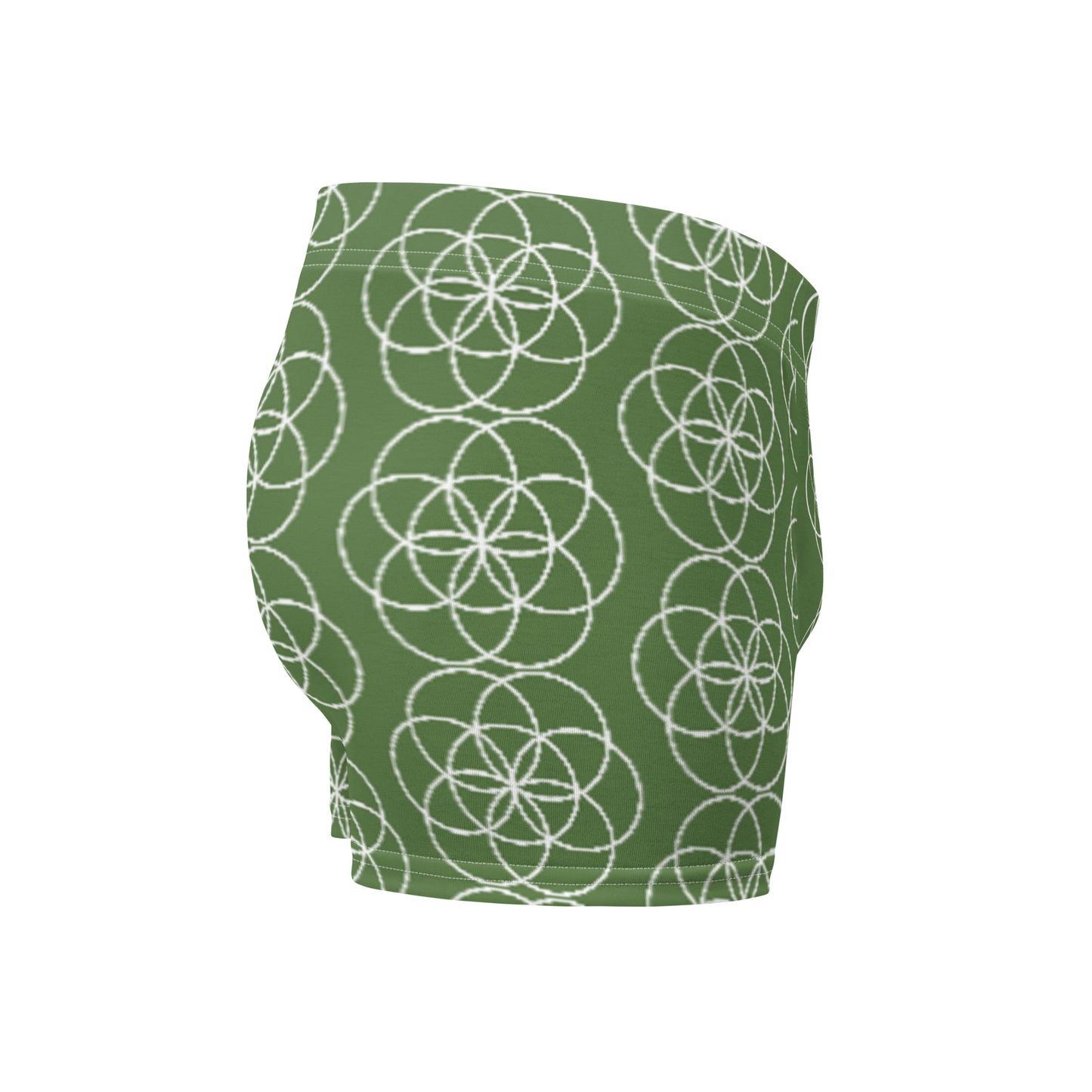 เมล็ดพันธุ์แห่งชีวิต